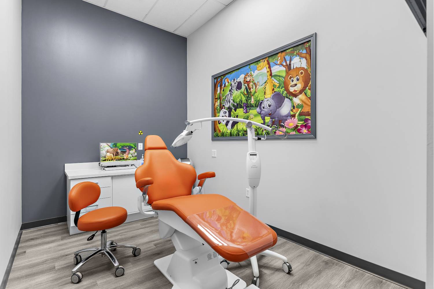 Inside the Safari Family Dental & Orthodontics Richmond office